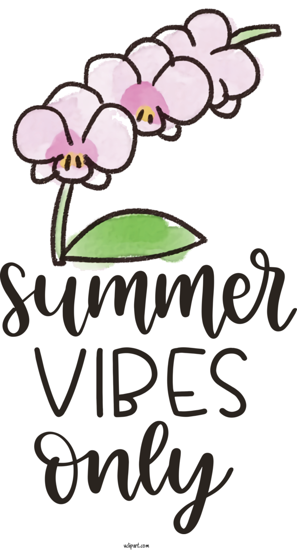 Free Nature Floral Design Design Flower For Summer Clipart Transparent Background