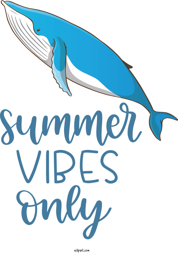 Free Nature Porpoises Dolphin Logo For Summer Clipart Transparent Background