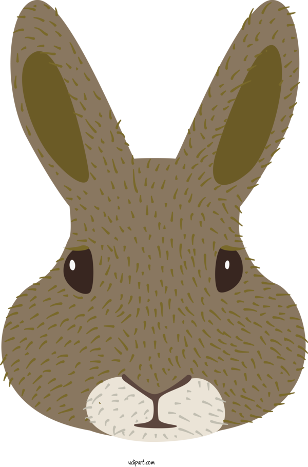 Free Animals Hares Easter Bunny Whiskers For Rabbit Clipart Transparent Background