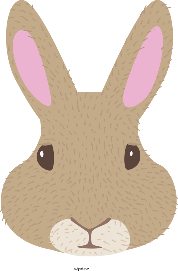 Free Animals Hares Easter Bunny Whiskers For Rabbit Clipart Transparent Background