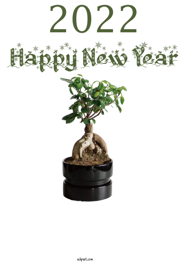 Free Holidays Chinese Sweet Plum Bonsai Tree For New Year 2022 Clipart Transparent Background