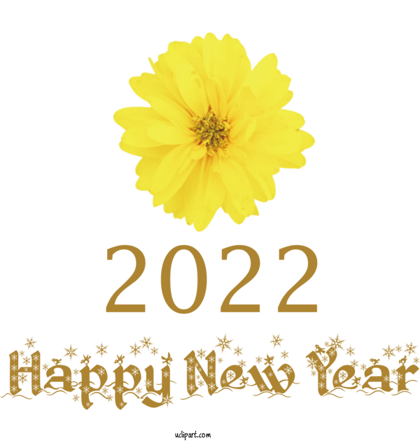 Free Holidays Chrysanthemum Cut Flowers Floral Design For New Year 2022 Clipart Transparent Background