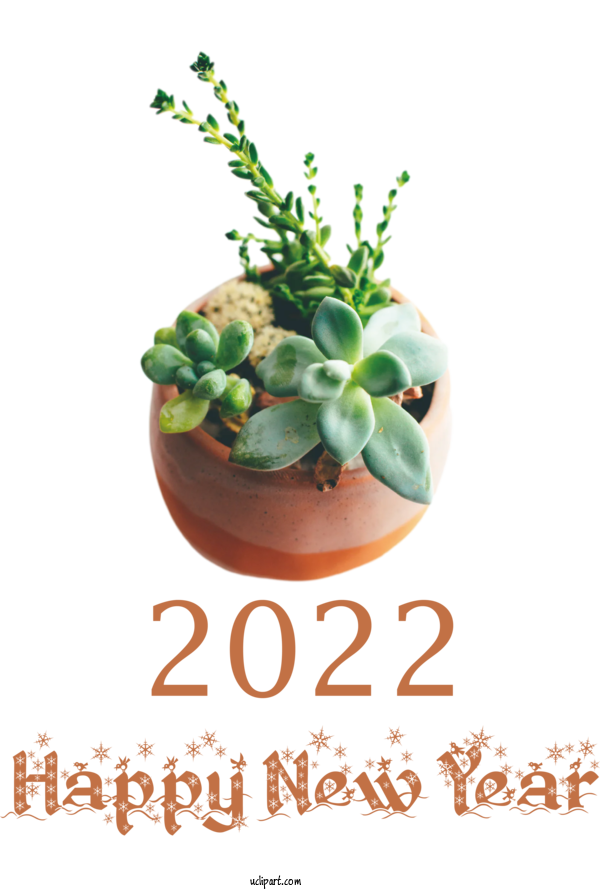 Free Holidays Succulent Plant Nortene Flowerpot For New Year 2022 Clipart Transparent Background