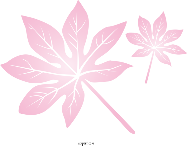 Free Nature Flower Design Petal For Leaf Clipart Transparent Background