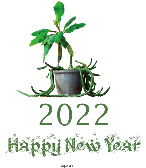 Free Holidays Leaf Plant Stem Flower For New Year 2022 Clipart Transparent Background
