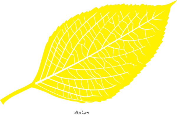 Free Nature Leaf Plant Stem Yellow For Leaf Clipart Transparent Background