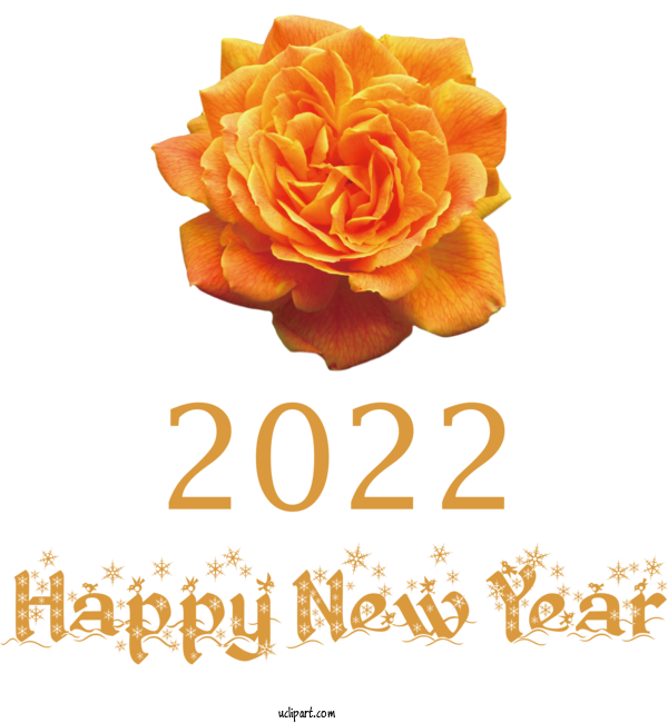 Free Holidays Garden Roses Floral Design Rose For New Year 2022 Clipart Transparent Background