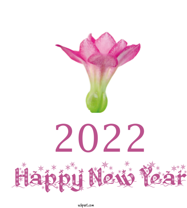 Free Holidays Herbaceous Plant Cut Flowers Petal For New Year 2022 Clipart Transparent Background