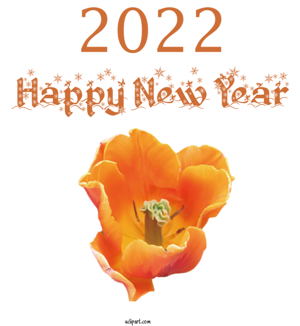 Free Holidays Cut Flowers Flower Rose Family For New Year 2022 Clipart Transparent Background