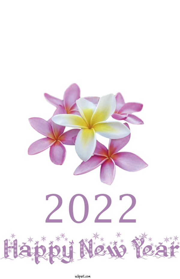 Free Holidays Cut Flowers Floral Design Petal For New Year 2022 Clipart Transparent Background
