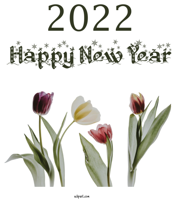 Free Holidays Plant Stem Floral Design Tulip For New Year 2022 Clipart Transparent Background