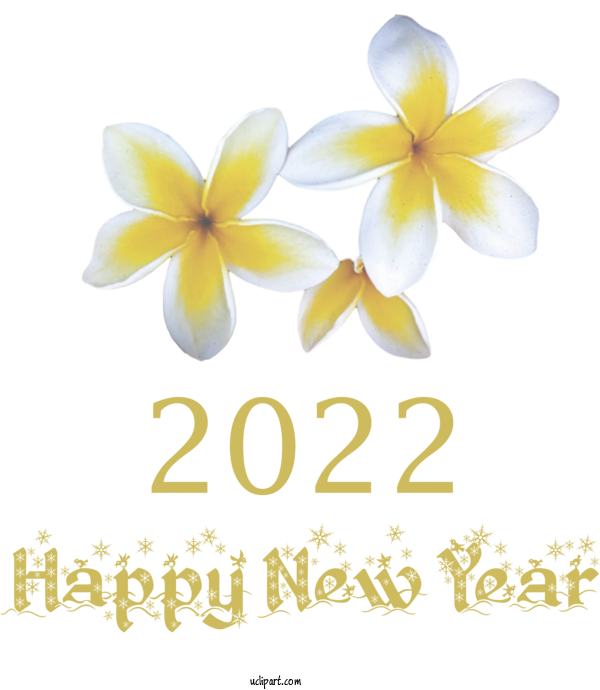 Free Holidays Cut Flowers Flower Petal For New Year 2022 Clipart Transparent Background