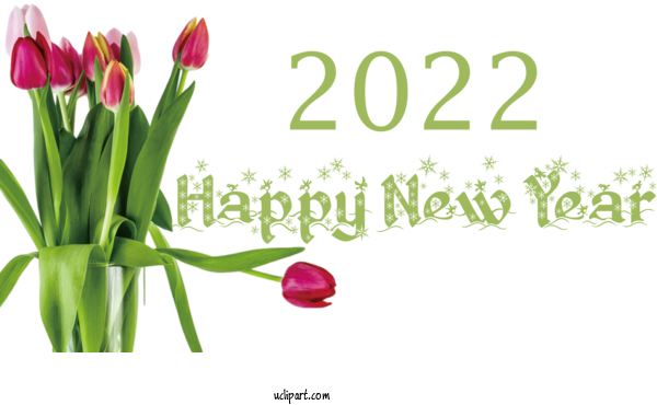 Free Holidays Floral Design Plant Stem Tulip For New Year 2022 Clipart Transparent Background