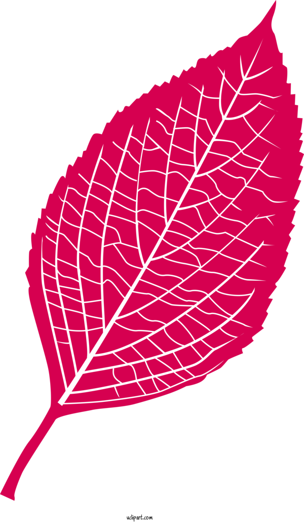 Free Nature Leaf Design Flower For Leaf Clipart Transparent Background