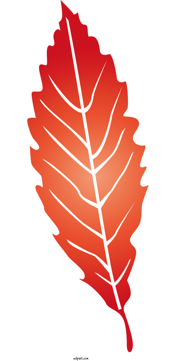 Free Nature Leaf Line Tree For Leaf Clipart Transparent Background