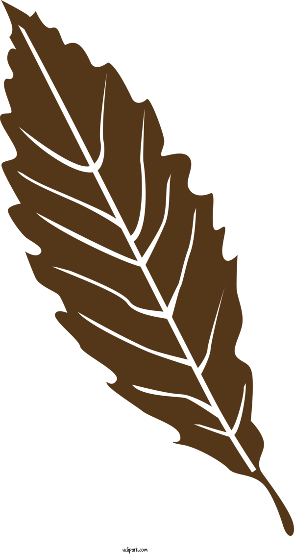Free Nature Leaf Plant Stem Twig For Leaf Clipart Transparent Background