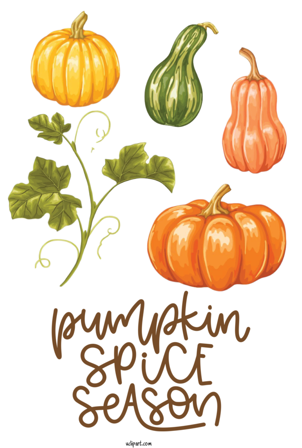 Free Nature Pumpkin Leaves Pumpkin Vegetable For Autumn Clipart Transparent Background