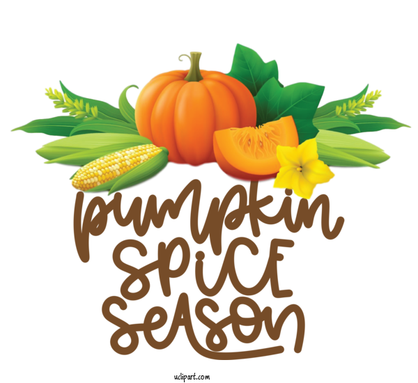 Free Nature Natural Food Pumpkin Squash For Autumn Clipart Transparent Background