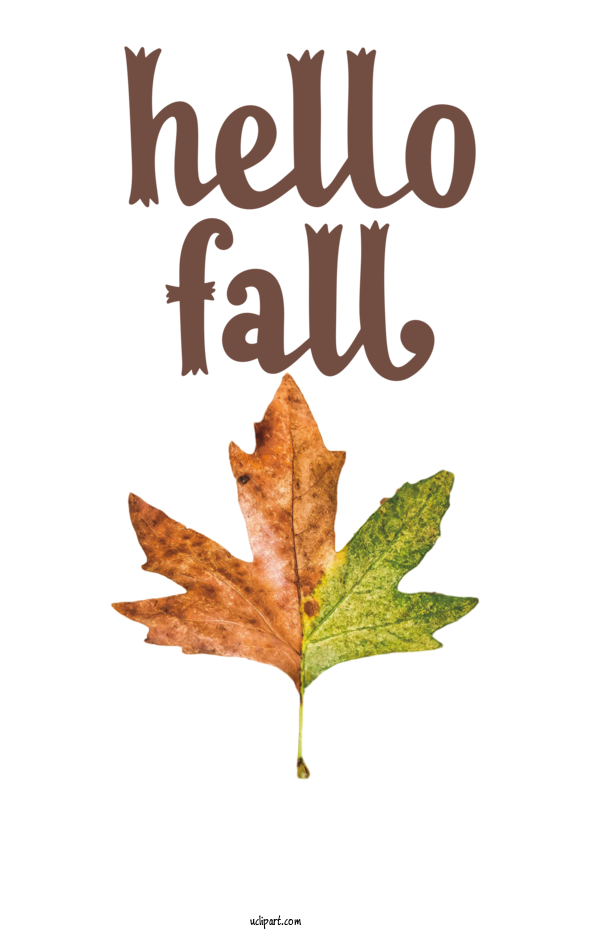 Free Nature Autumn T Shirt Floral Design For Autumn Clipart Transparent Background