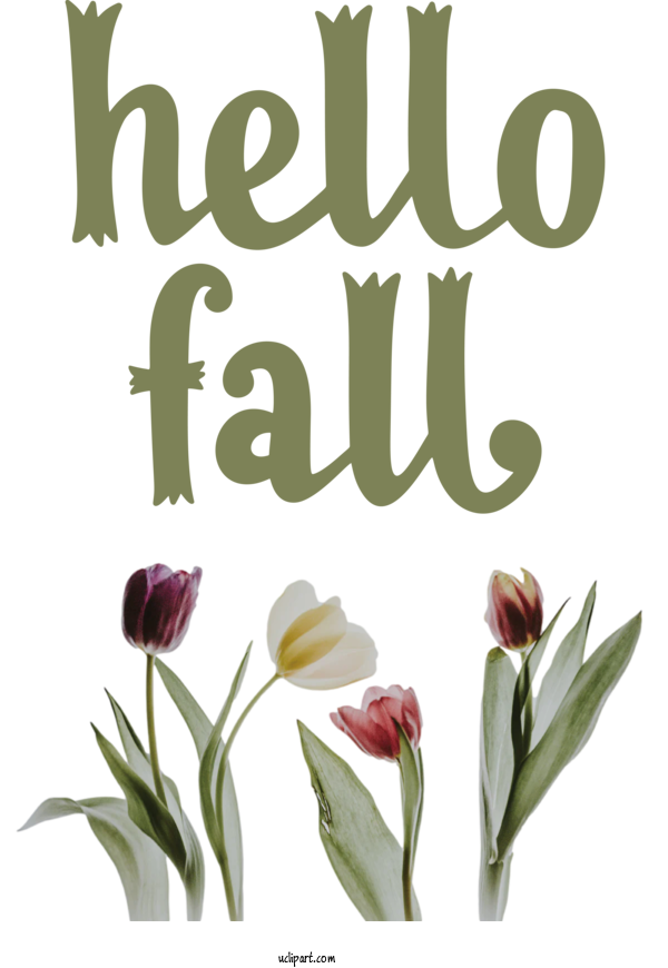 Free Nature Floral Design Plant Stem Tulip For Autumn Clipart Transparent Background