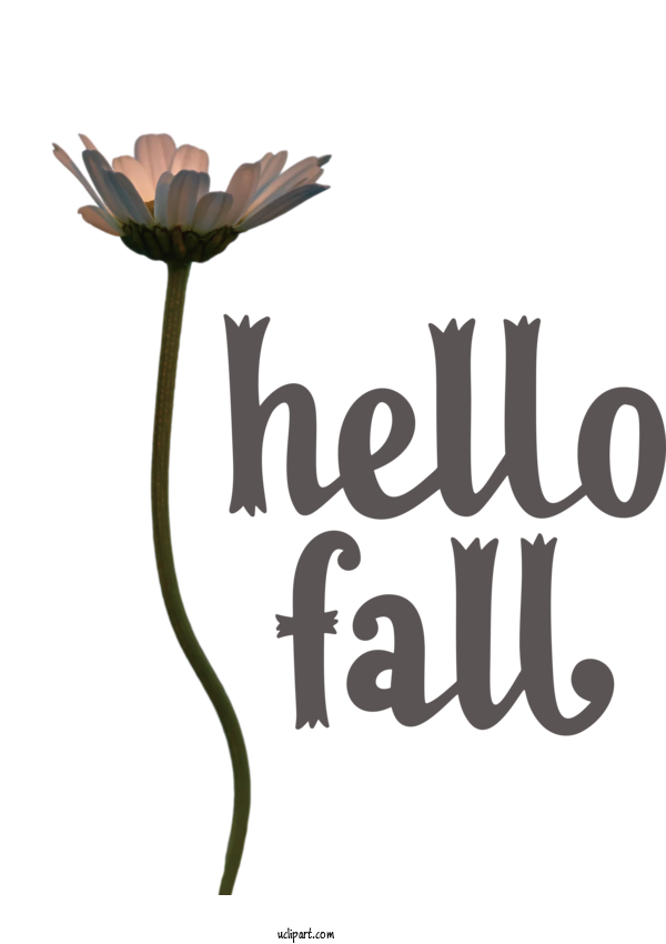 Free Nature Plant Stem Flower Logo For Autumn Clipart Transparent Background