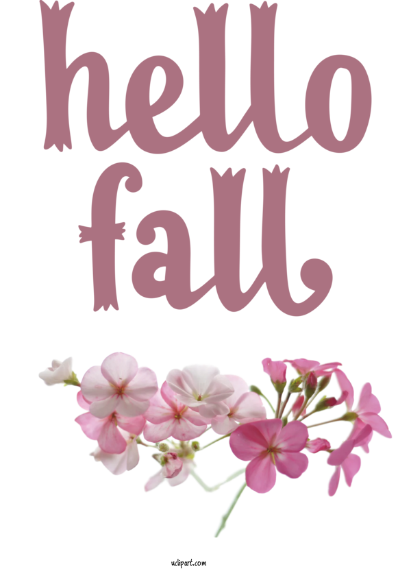Free Nature Autumn Floral Design Flower For Autumn Clipart Transparent Background