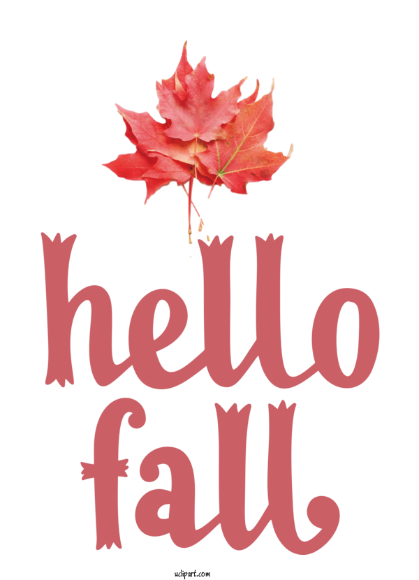 Free Nature Floral Design Leaf Logo For Autumn Clipart Transparent Background
