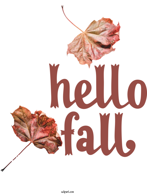 Free Nature Floral Design Rose Family Petal For Autumn Clipart Transparent Background