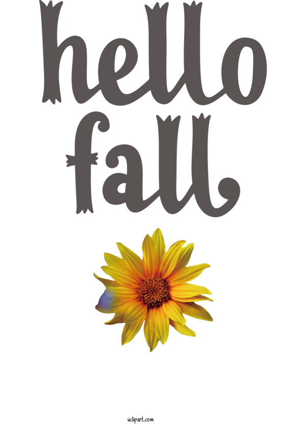 Free Nature Chrysanthemum Cut Flowers Floral Design For Autumn Clipart Transparent Background