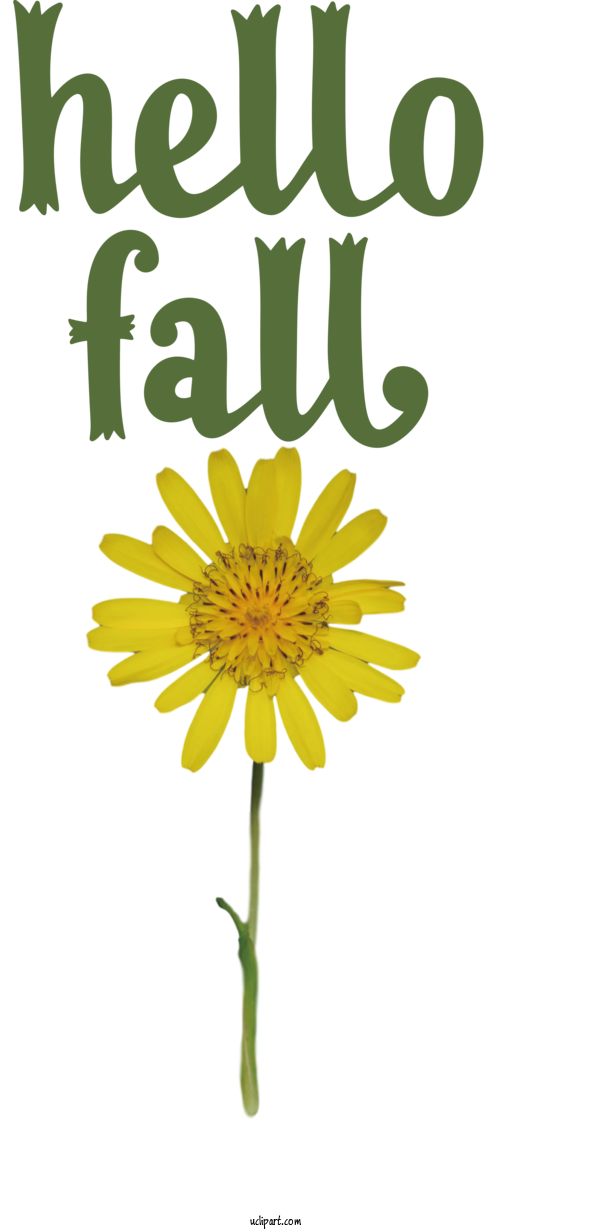 Free Nature Flower Chrysanthemum Cut Flowers For Autumn Clipart Transparent Background