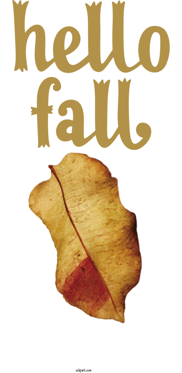 Free Nature Leaf Font Meter For Autumn Clipart Transparent Background