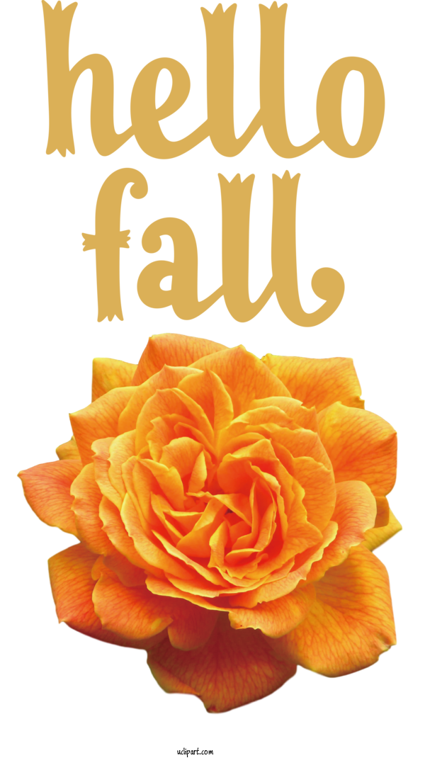 Free Nature Autumn Floral Design Cdr For Autumn Clipart Transparent Background