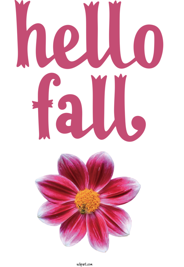 Free Nature Cut Flowers Flower Petal For Autumn Clipart Transparent Background
