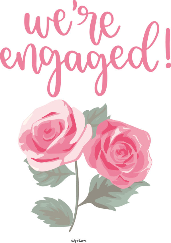 Free Occasions Garden Roses Flower Garden For Get Engaged Clipart Transparent Background