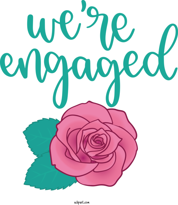 Free Occasions Floral Design Garden Roses Rose For Get Engaged Clipart Transparent Background