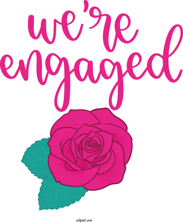 Free Occasions Floral Design Garden Roses Rose For Get Engaged Clipart Transparent Background