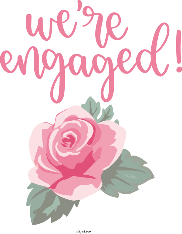 Free Occasions Floral Design Garden Roses Cut Flowers For Get Engaged Clipart Transparent Background