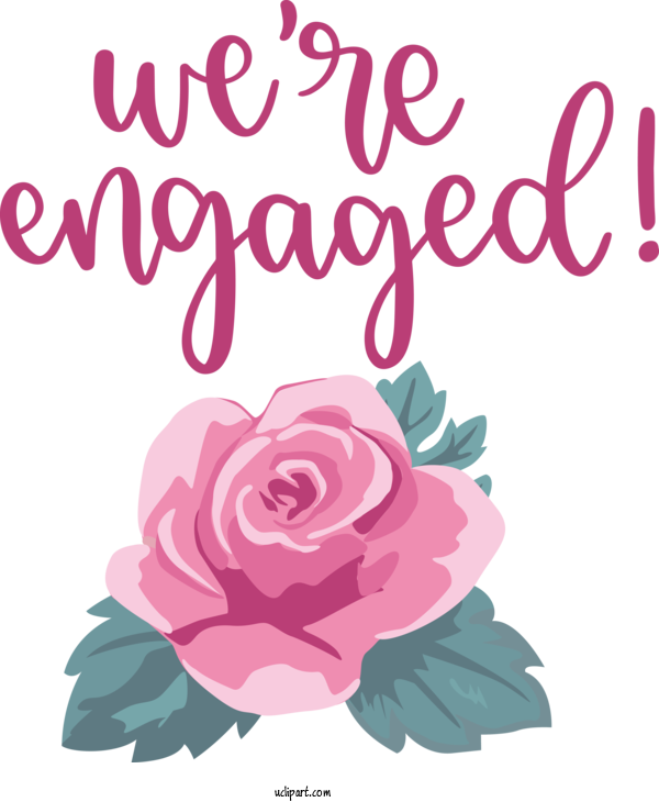 Free Occasions Rose Flower Garden Roses For Get Engaged Clipart Transparent Background