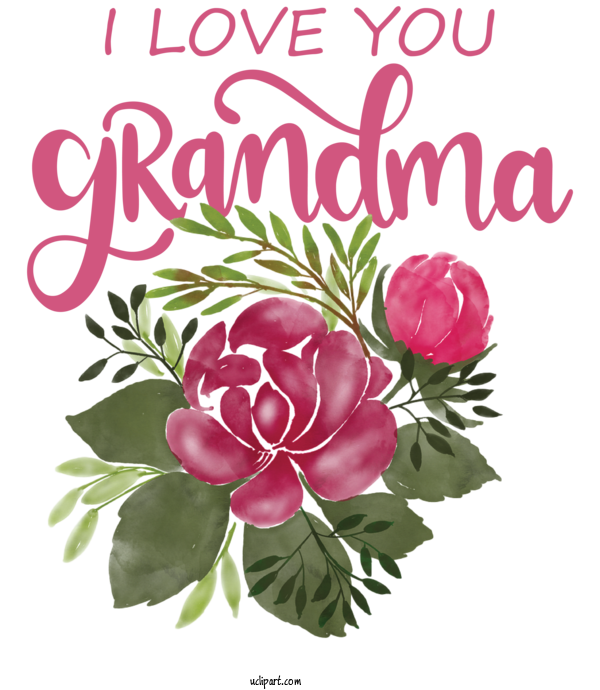 Free Holidays Floral Design Garden Roses Rose For Grandparents Day Clipart Transparent Background