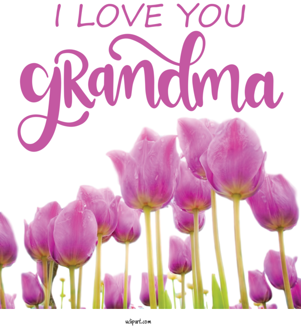 Free Holidays Tulip Flower Vase For Grandparents Day Clipart Transparent Background
