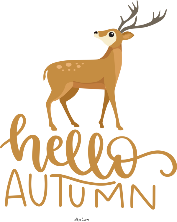 Free Nature Reindeer Deer Antler For Autumn Clipart Transparent Background