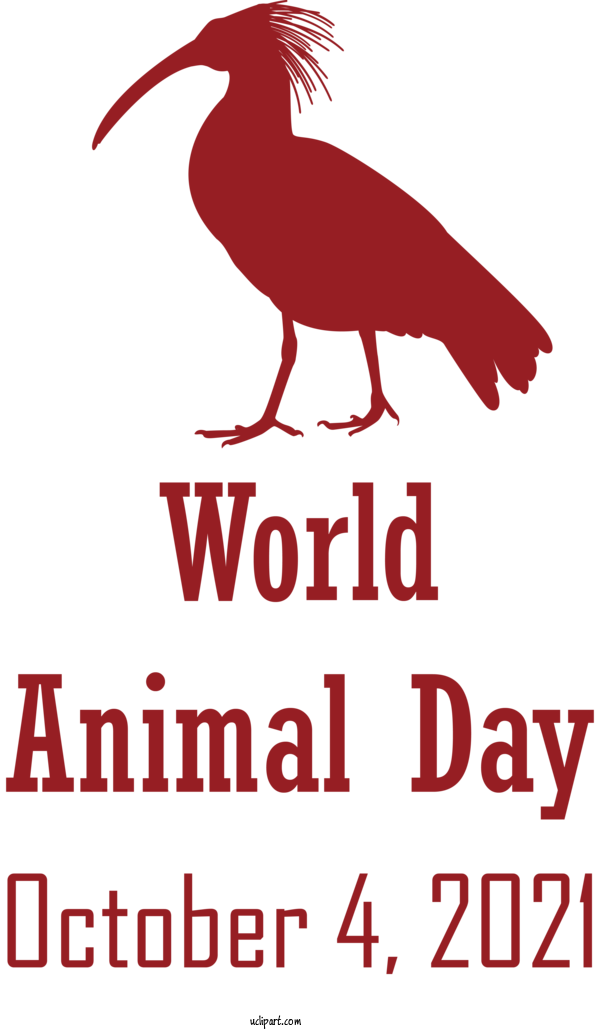 Free Holidays Birds Beak Red For World Animal Day Clipart Transparent Background