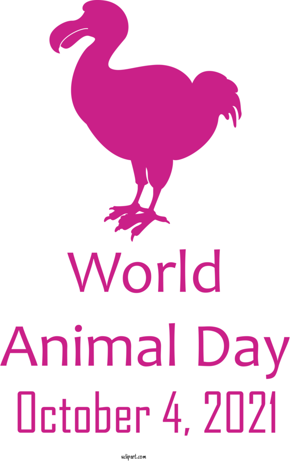 Free Holidays Landfowl Chicken Beak For World Animal Day Clipart Transparent Background