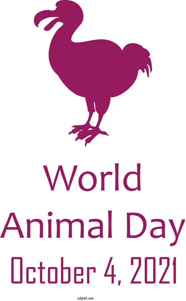 Free Holidays Landfowl Chicken Beak For World Animal Day Clipart Transparent Background