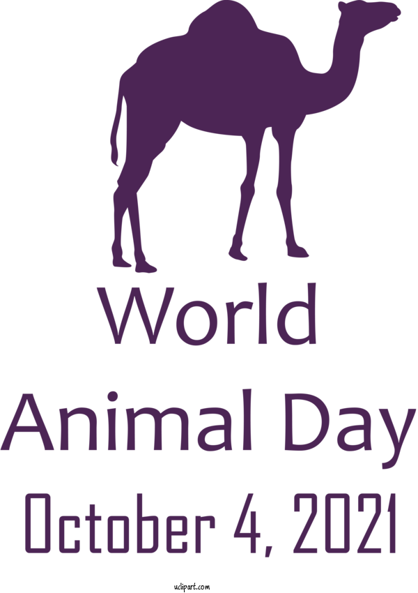 Free Holidays Dromedary Horse Silhouette For World Animal Day Clipart Transparent Background