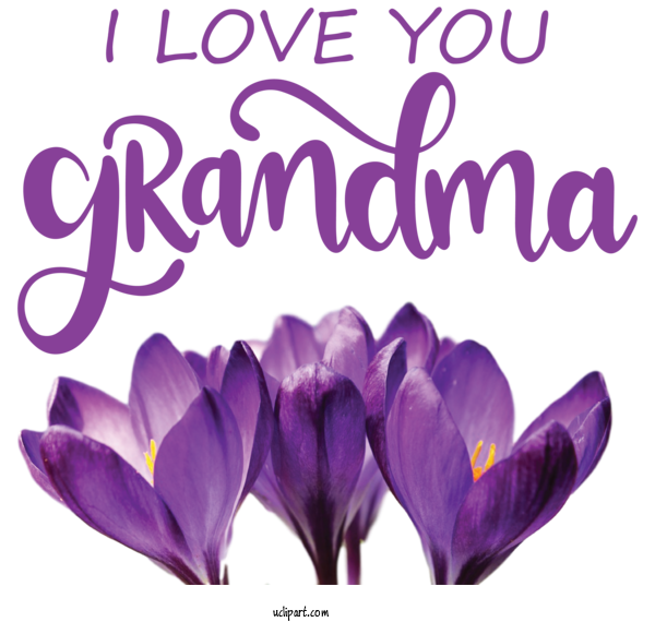 Free Holidays Cut Flowers Crocus M Flower For Grandparents Day Clipart Transparent Background