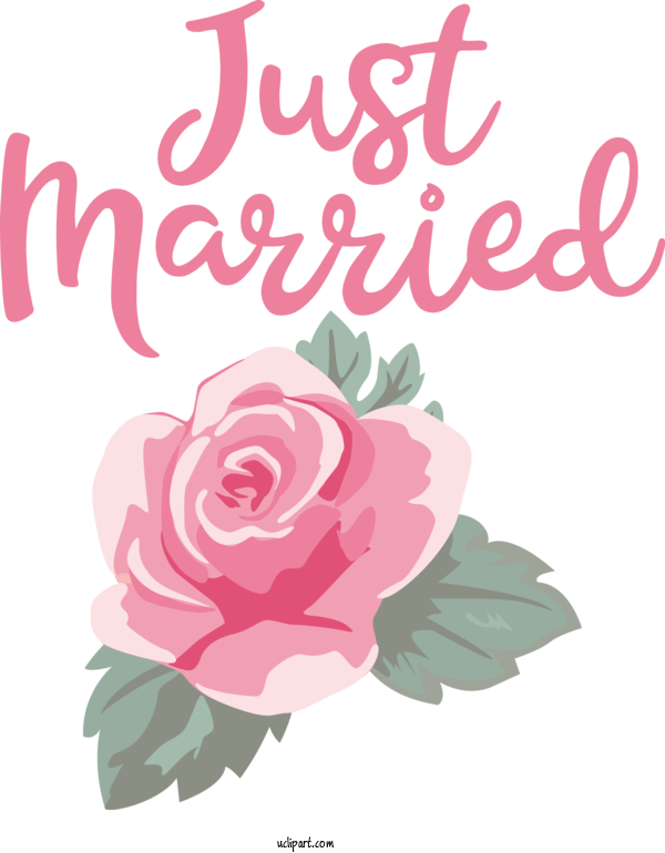 Free Occasions Floral Design Garden Roses Design For Wedding Clipart Transparent Background
