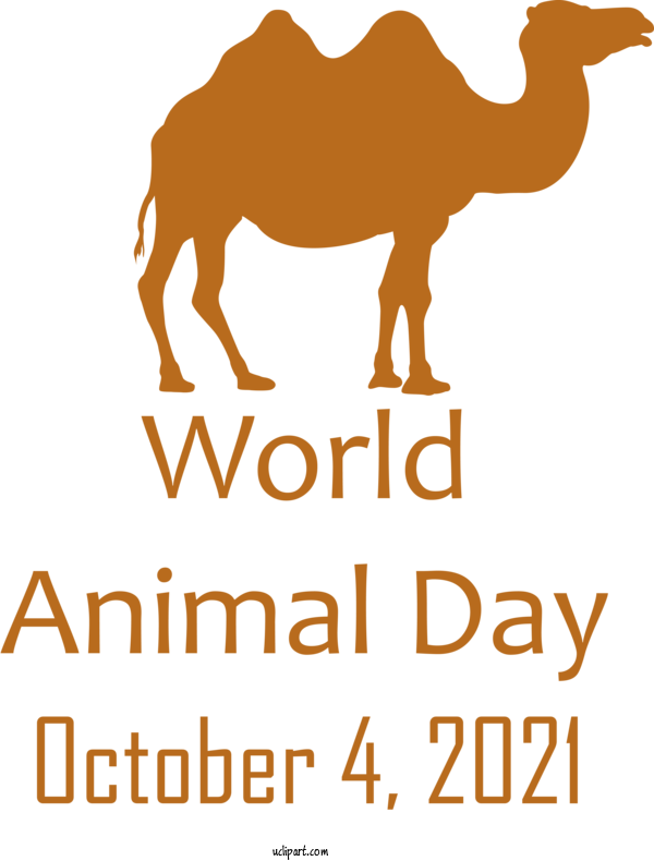 Free Holidays Dromedary Mustang Sparkasse Emsland For World Animal Day Clipart Transparent Background