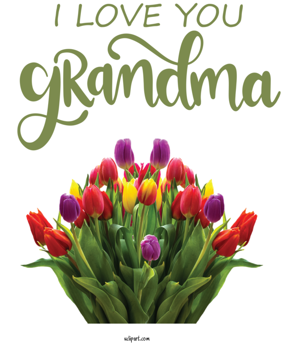 Free Holidays Flower Sticker Tulip For Grandparents Day Clipart Transparent Background