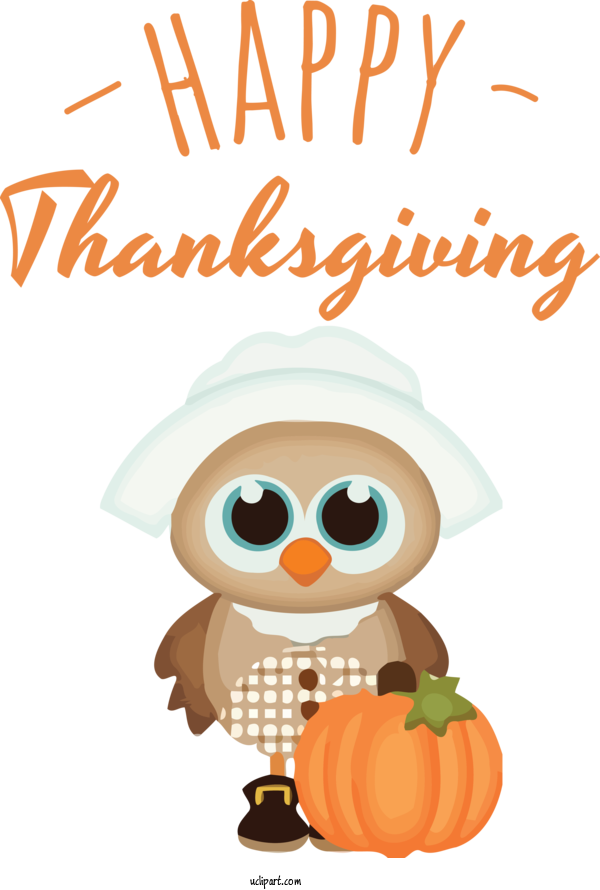 Free Holidays Birds Owls Cartoon For Thanksgiving Clipart Transparent Background